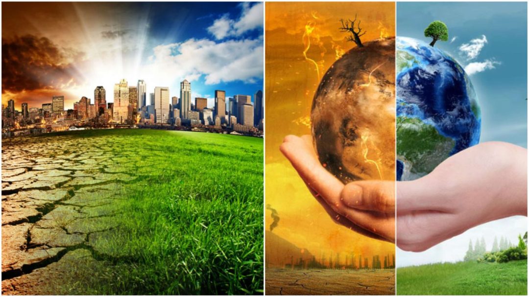 الاستراتيجية الوطنية لتغير المناخ 2050