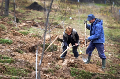 صغار منتجي الأغذية ومصنعيها