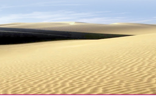 ماء من هواء الصحراء