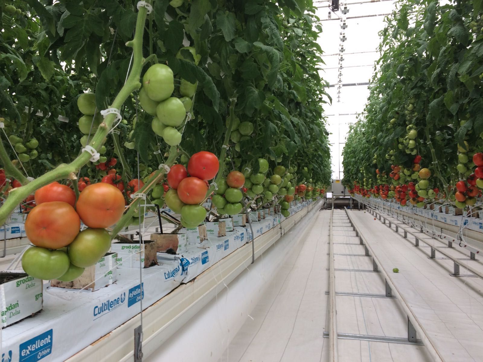 منتجات مستدامة