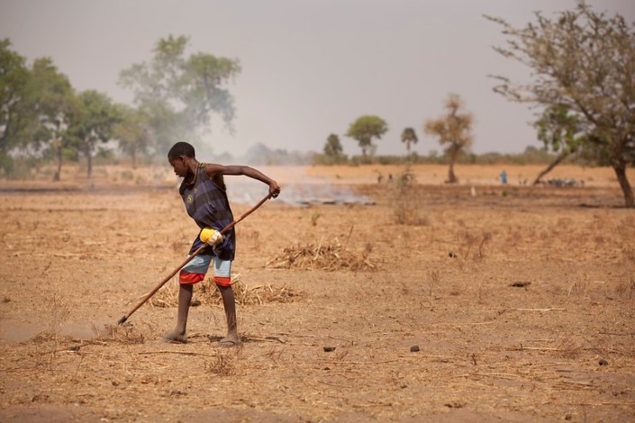 التصحر في أفريقيا