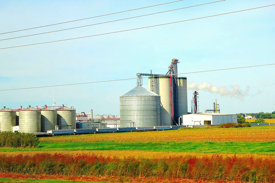 الوقود الحيوي