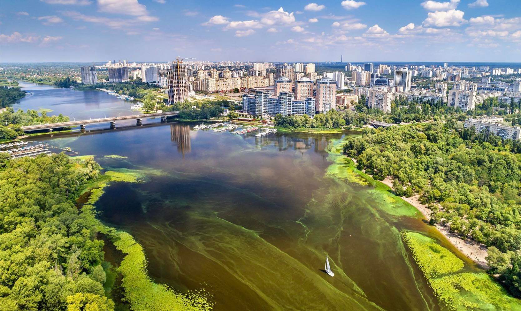 تأثير الأسمدة على الأنهار والنباتات