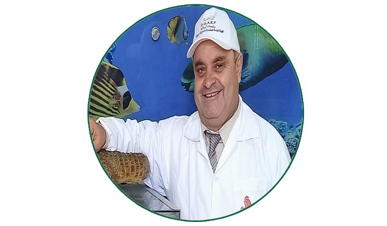 د.أحمد نور الدين