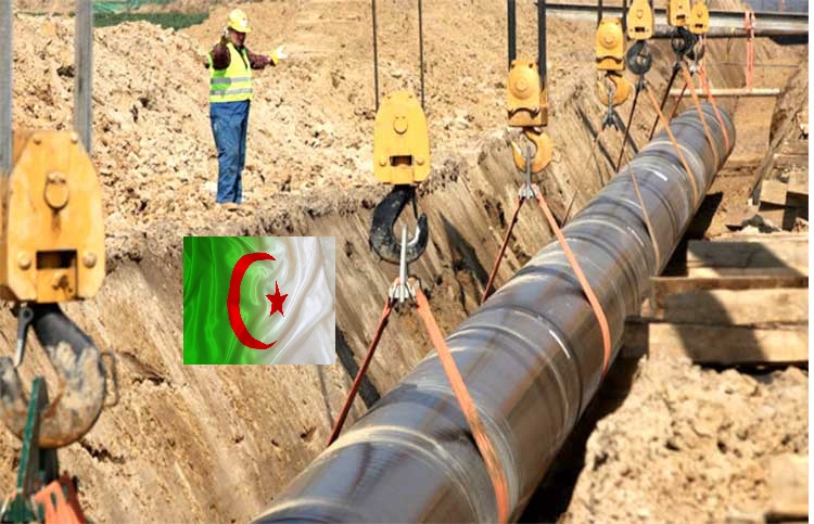 شركات الغاز في الجزائر