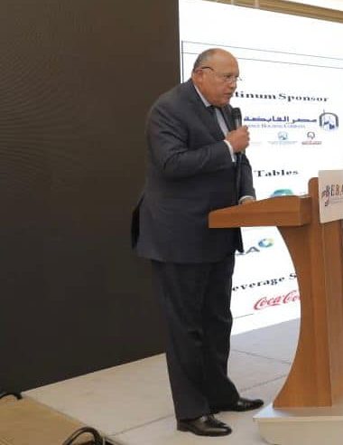 وزير الخارجية سامح شكري