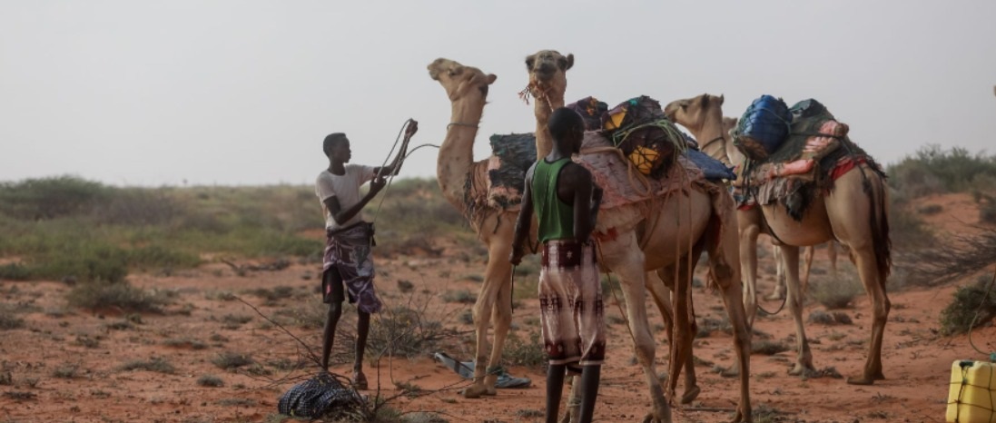 أثر الجفاف على الدول الإفريقية