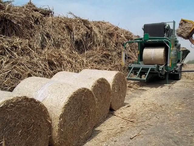 مخلفات زراعية