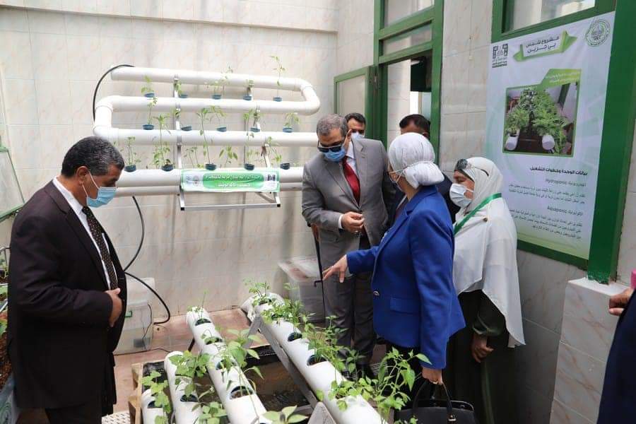 وحدة التحول البيئي في جامعة عين شمس