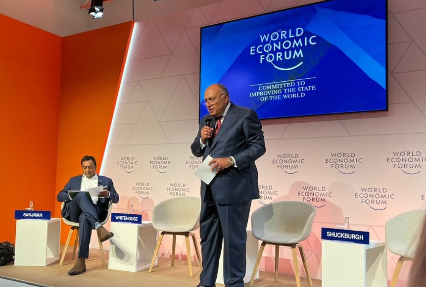 وزير الخارجية سامح شكري، الرؤية المصرية للمؤتمر