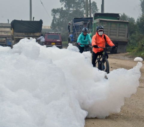 شوارع تنتشر بها الرغاوي السامة