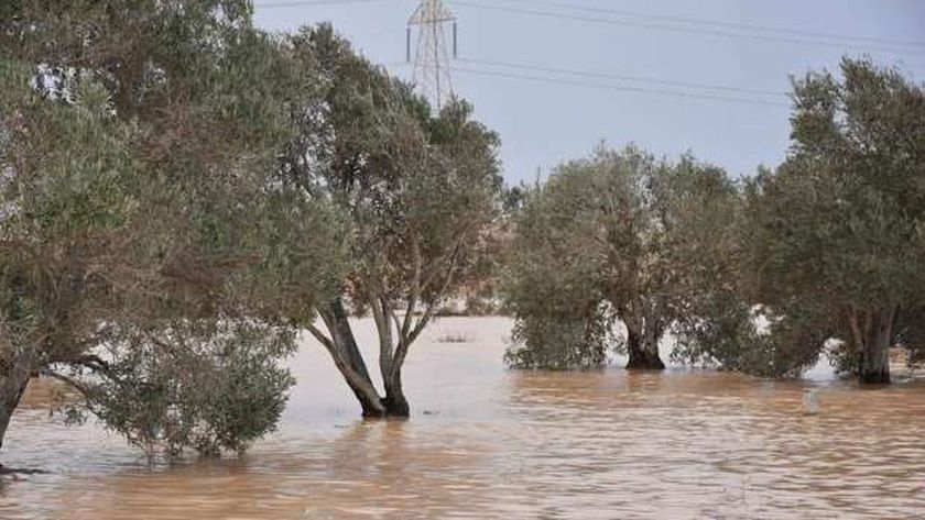 الاستفادة من مياه الأمطار
