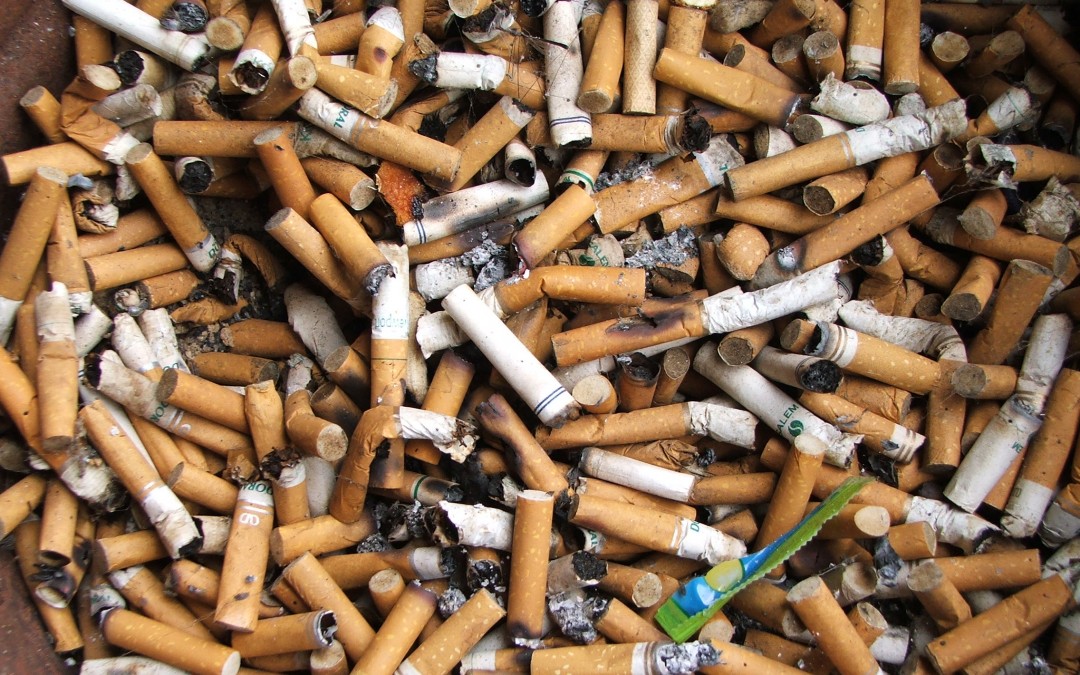 يمكن استخدام أعقاب السجائر في تنظيف المجاري المائية