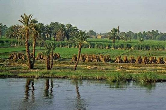 ندرة المياه خطر يهدد المحاصيل الزراعية