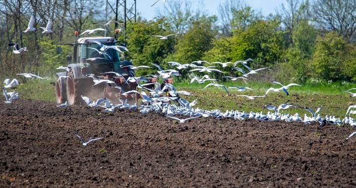 تأثير التغيرات المناخية على الأراضي الزراعية وتدهور التربة