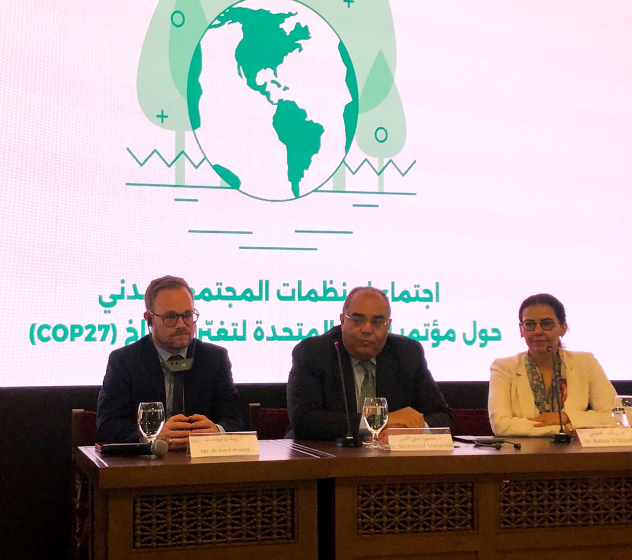 محمود محيي الدين