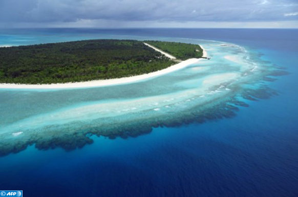 تحمض المحيطات