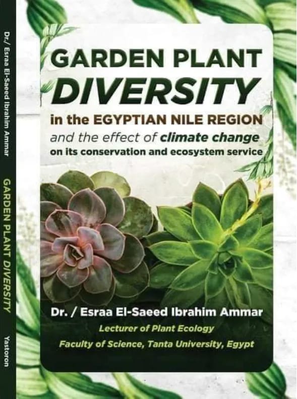 غلاف كتاب. د.إسراء عمار