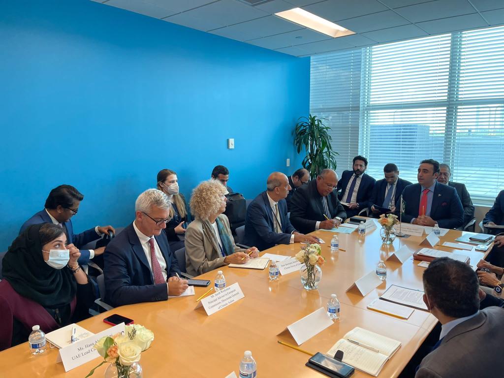 سامح شكري وزير الخارجية