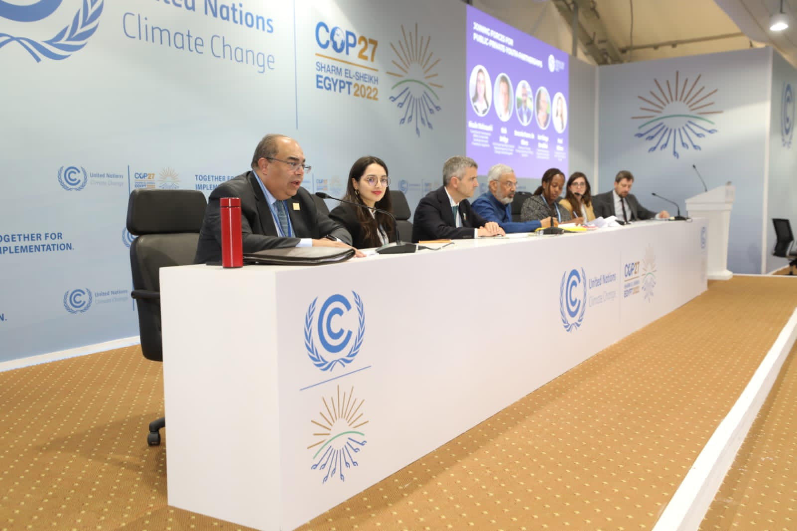 الدكتور محمود محيي الدين