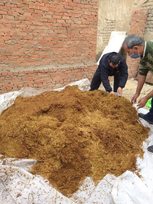 تصنيع علف قش الأرز والأتبان