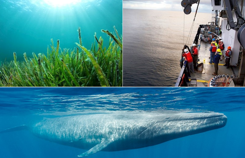 التلوث الضوضائي