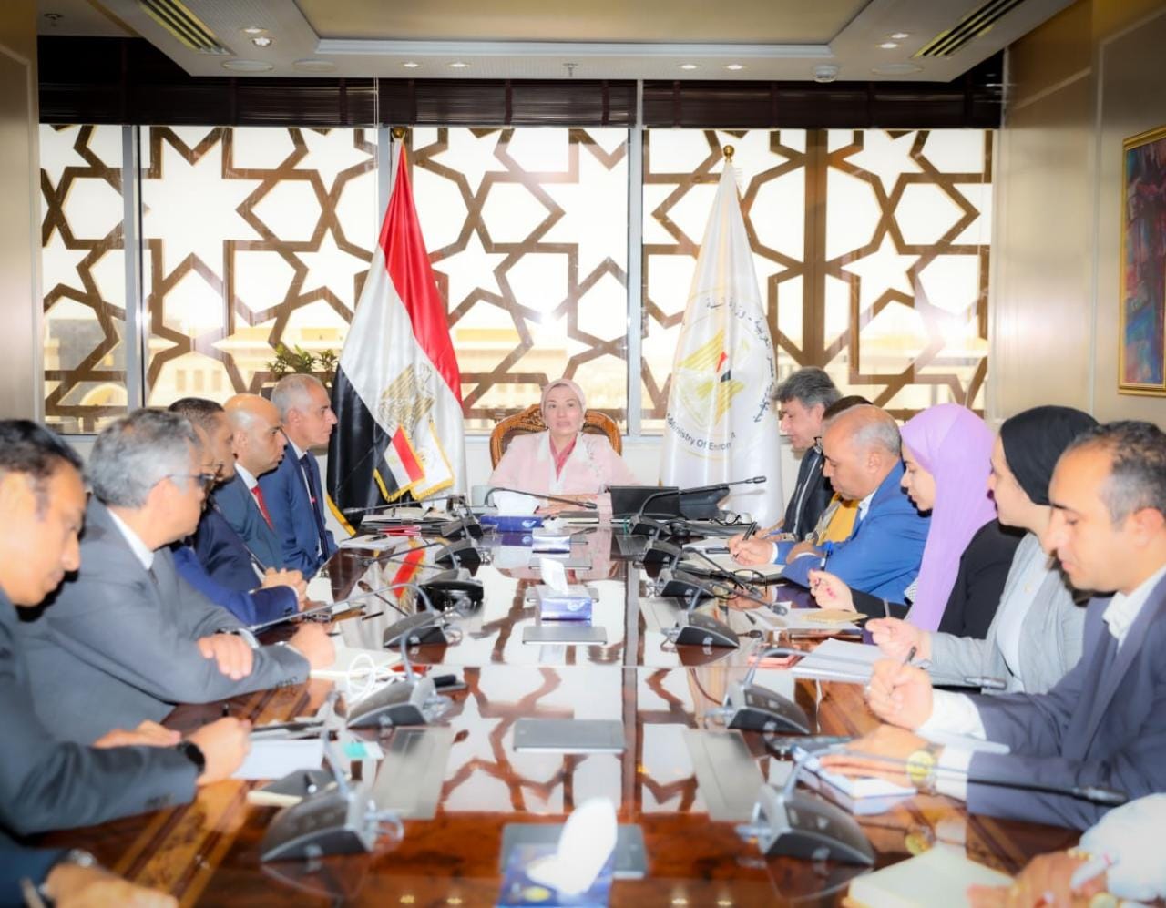 الشركات العاملة في مجال تحويل المخلفات إلى طاقة