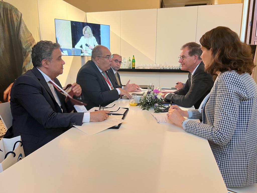 الدكتور محمود محيي الدين