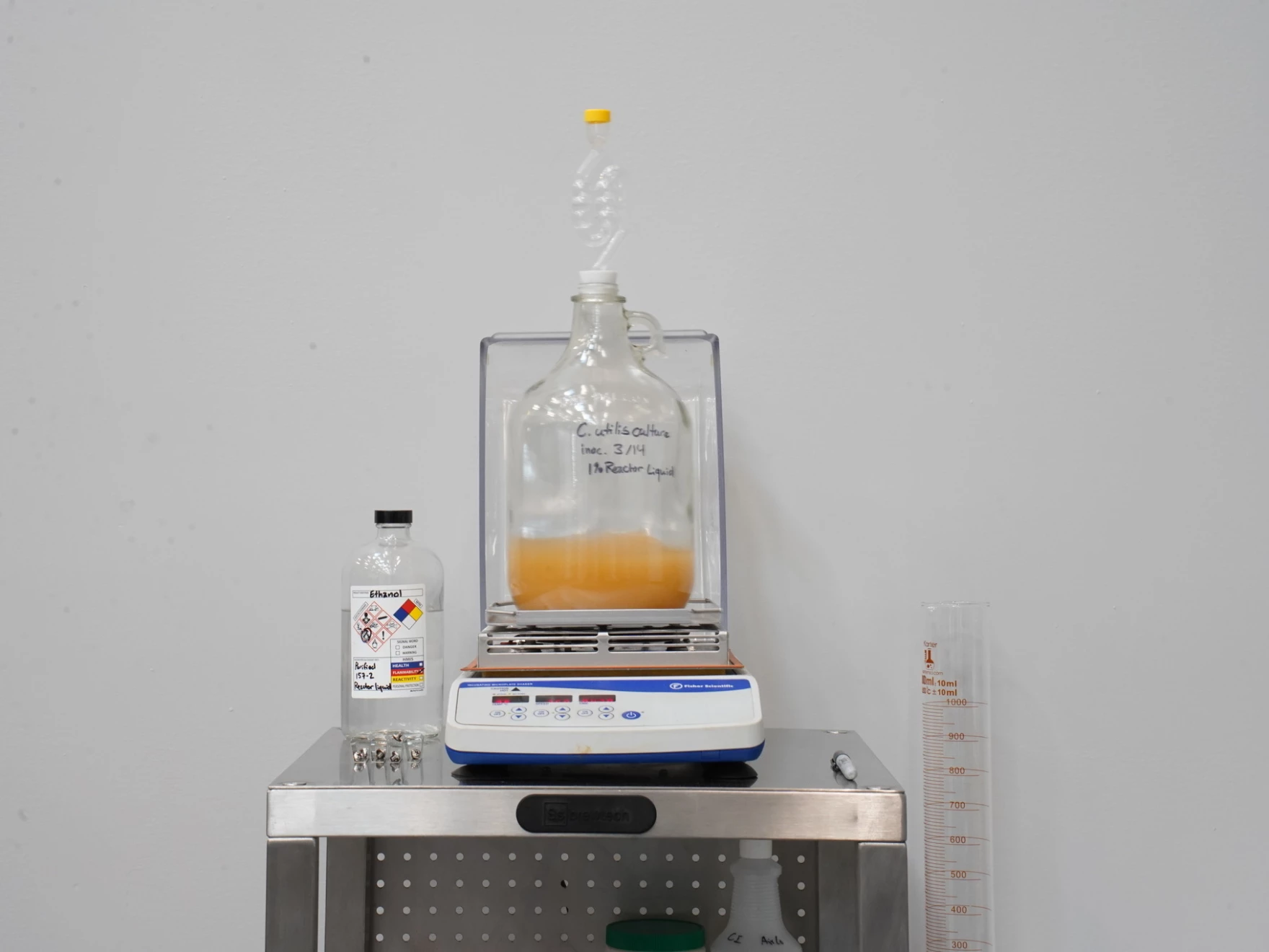 تحويل ثاني أكسيد الكربون إلى خميرة