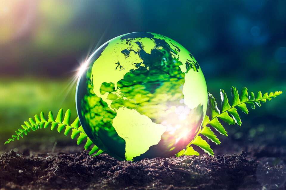 تعويضات الكربون