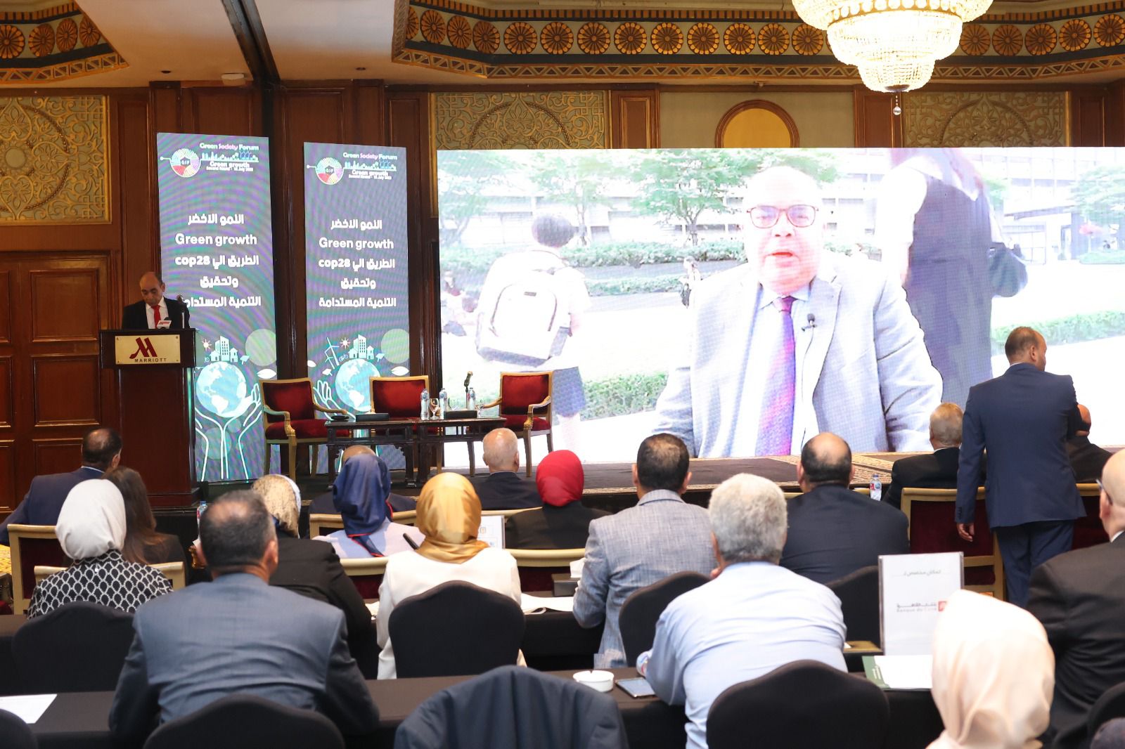 دكتور محمود محيي الدين