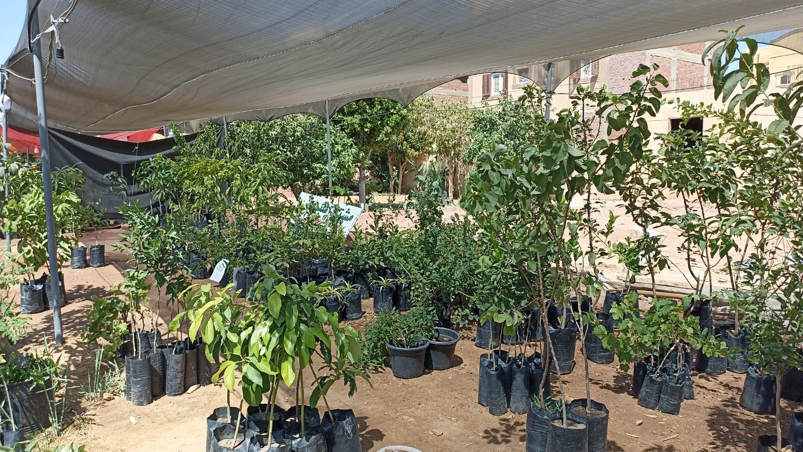 العرب / مائة كاتب في تاريخ أدب الخيال العلمي – مكتبة القاهرة, image size:1600x901