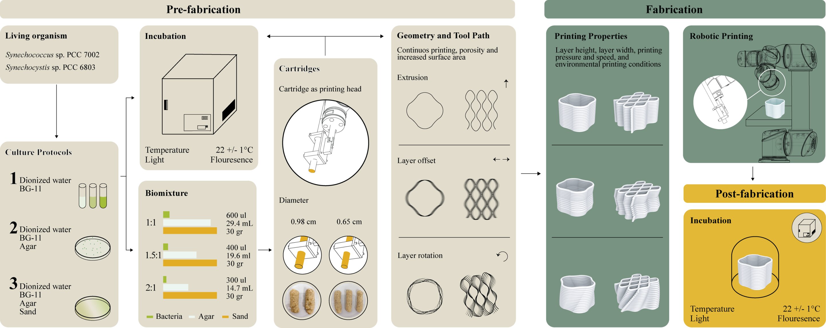 التصنيع المشترك ، مع خلايا البكتيريا الزرقاء الحية