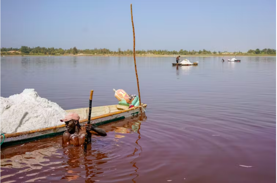 بحيرة روز المالحة