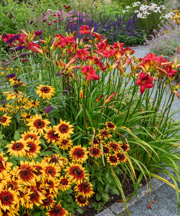 الحياة البرية للملقحات