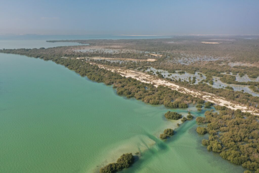خور فريدة في دولة الإمارات