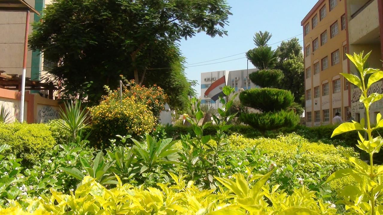 حصول قرية شما بمحافظة المنوفية، على شهادة ترشيد للمجتمعات الريفية الخضراء،