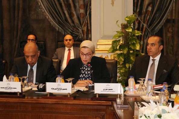 وزيرة البيئة تلقي بيانا أمام اللجنة البرلمانية لدراسة برنامج الحكومة