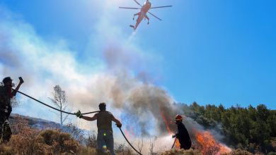 صيف خطير بسبب حرائق الغابات