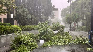 إعصار بيبينكا يضرب شنغهاي