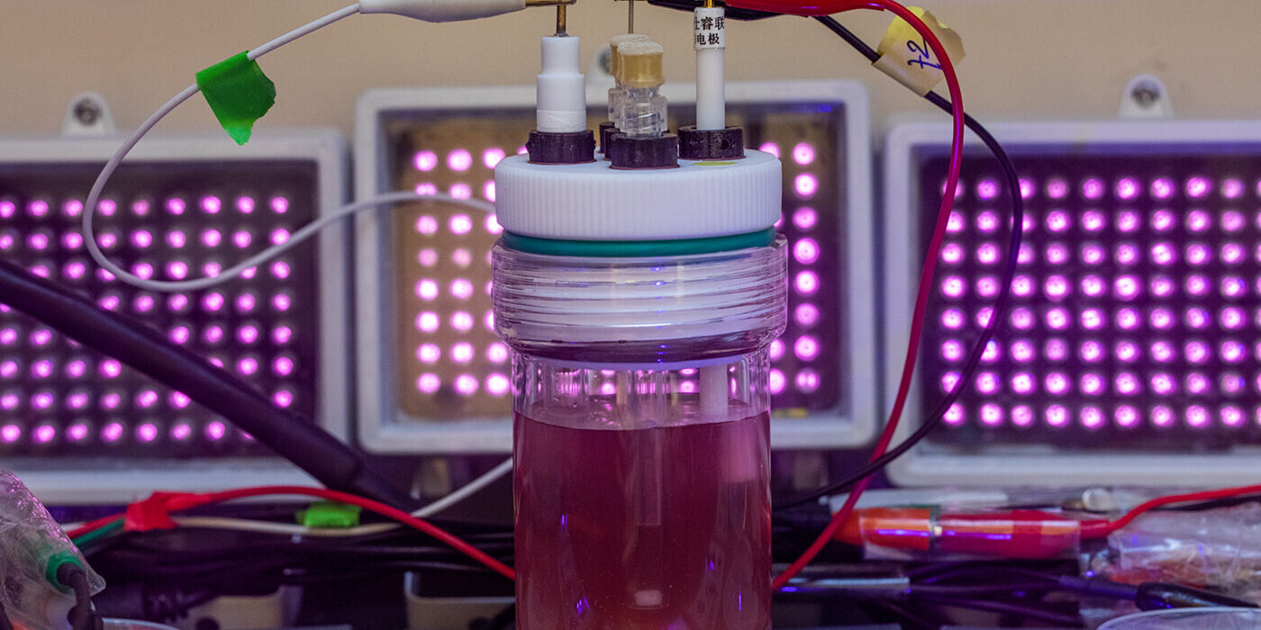 تصنيع البلاستيك الحيوي