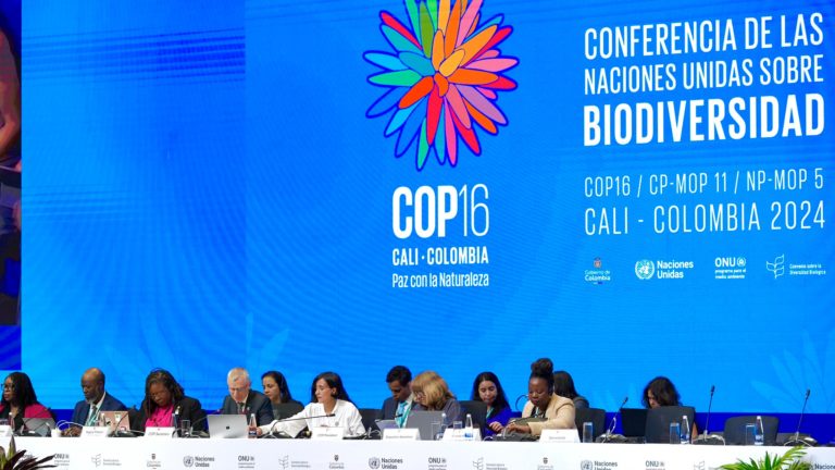قمة الأمم المتحدة في كالي cop16 - قمة التنوع البيولوجي