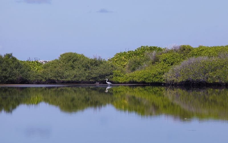 المالديف تسعى لمبادلة الديون بالطبيعة
