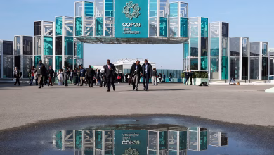مؤتمر المناخ cop29