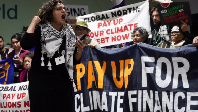 نسطاء في مؤتمر المناخ cop29