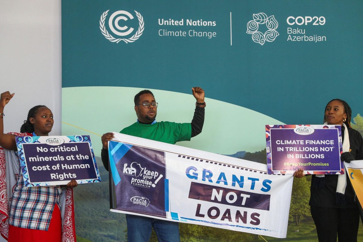 نشطاء في مؤتمر المناخ -COP29