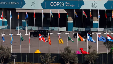 cop29