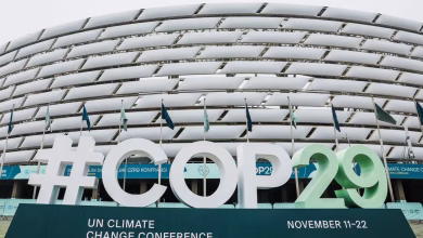 cop 29