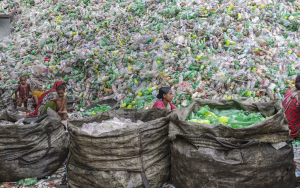 عاملات يفرزن الزجاجات البلاستيكية لإعادة تدويرها في مصنع في دكا، بنجلاديش