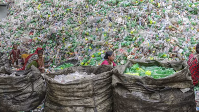 عاملات يفرزن الزجاجات البلاستيكية لإعادة تدويرها في مصنع في دكا، بنجلاديش